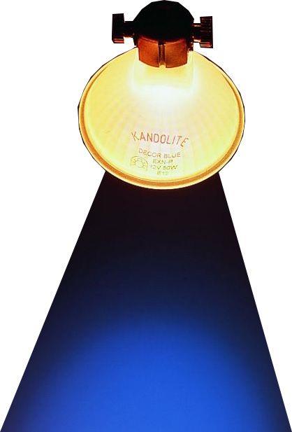 Kandolite DECOR NV-Halogen Kaltlichtspiegel MR-11 12V 35W GU4 Blau