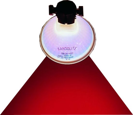 Kandolite DECOR NV-Halogen Kaltlichtspiegel MR-11 12V 35W GU4 ROT